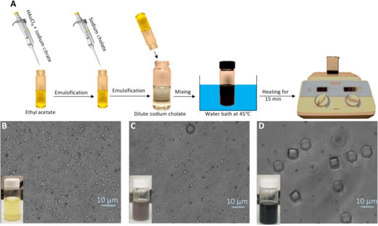 Biodegradable, bile salt microparticles for localized fat dissolution