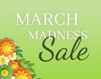 March Madness Sale! It’s Finally Here at Avante!