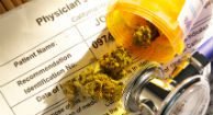 MS Spasticity: Pharmaceuticals vs. Cannabis