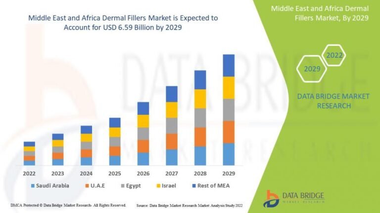 Middle East and Africa Dermal Fillers Market : Share, Application, Key Players, CAGR, Demand & Forecast to 2029