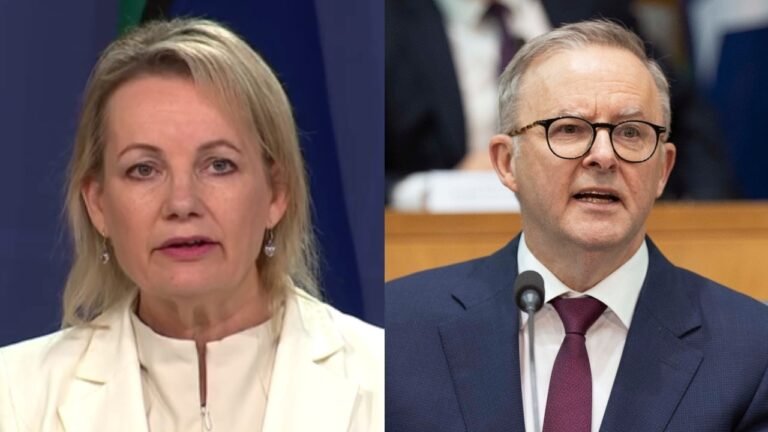 ‘Where is the Prime Minister?: Sussan Ley hits out at absent Anthony Albanese amid debate over stage three tax cuts