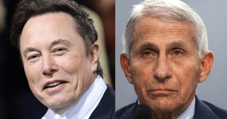 Elon Musk Says Fauci Lied And Funded “Research That Killed Millions Of People,” Says His Pronouns Are “Prosecute/Fauci”