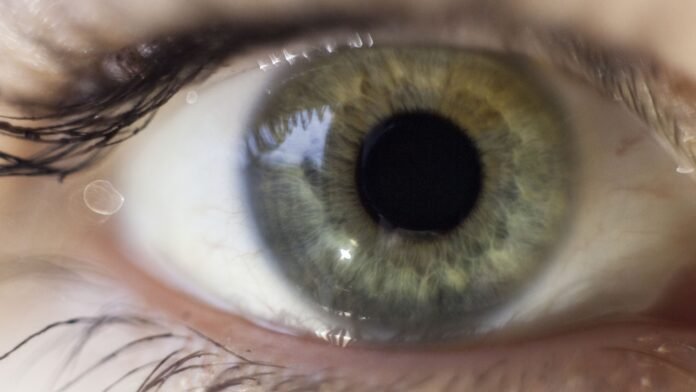 How a twitching eye could be a sign of something serious - and when to see your GP